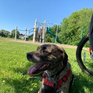 Meet your Posher, Elizabeth